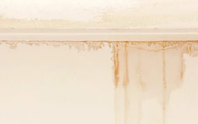 How to Find a Roof Leak: 7 Essential Steps to Protect Your Home