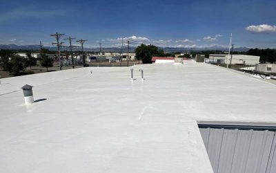 Which is Better: TPO Roof or Bitumen Roof?