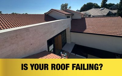 Is It Time for a New Roof? Check These Signs